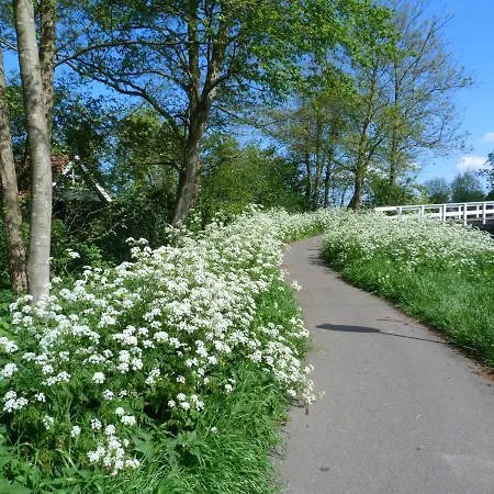 Logies 펜션 Woubrugge