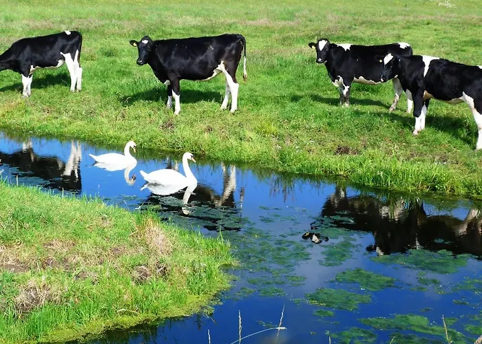 Logies بيت للعطل