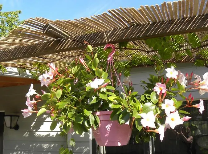 Tatil Evi Logies Woubrugge