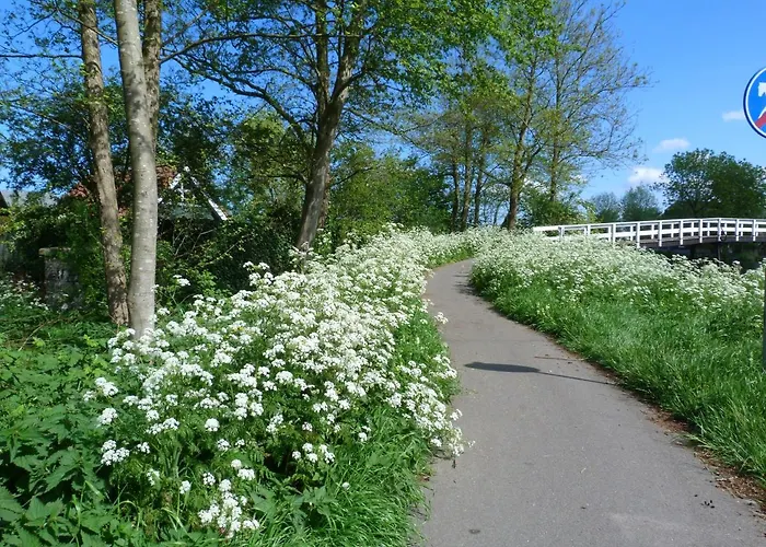 Logies Tatil Evi Woubrugge